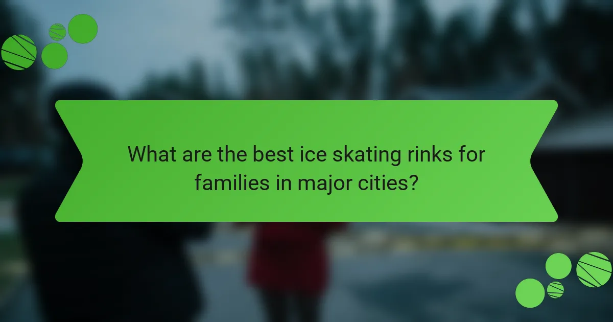 What are the best ice skating rinks for families in major cities?