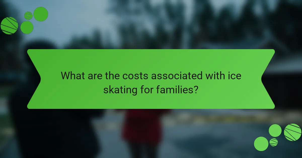 What are the costs associated with ice skating for families?