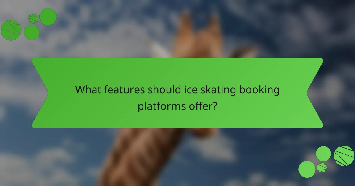 What features should ice skating booking platforms offer?